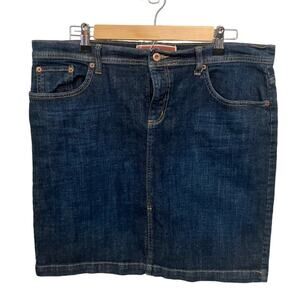 GAP Blue Pencil Skirt (14)